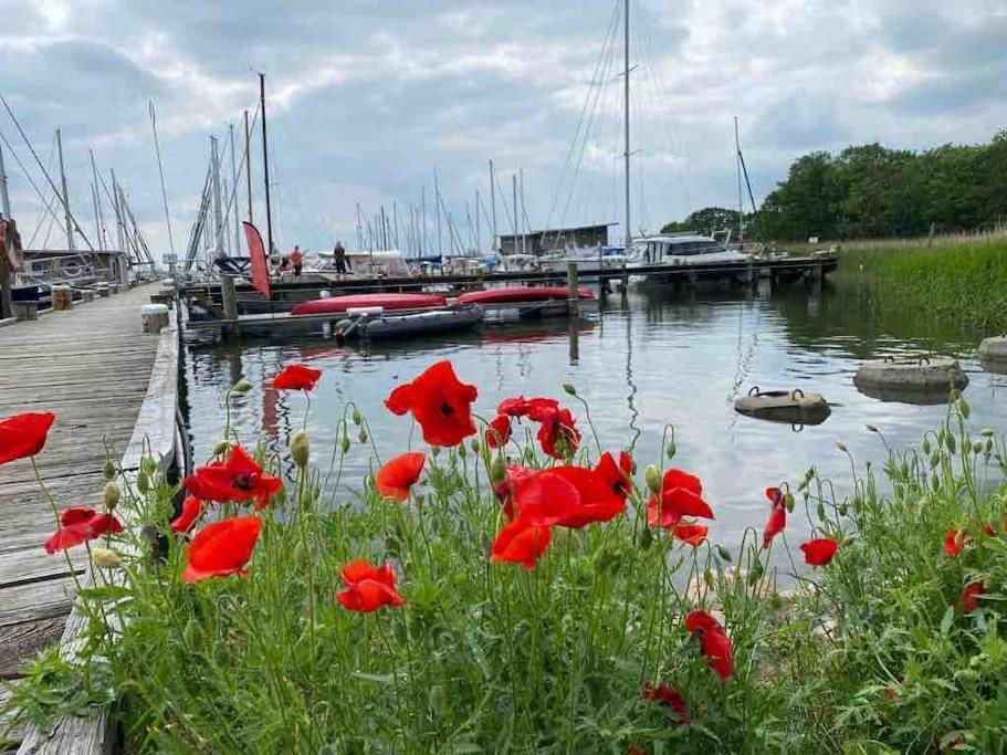 Ferienhaus Mit Wasserblick Auf Der Insel Usedom Krummin Exterior photo